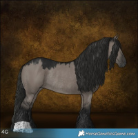 Horse Color:Gray Grullo Rabicano