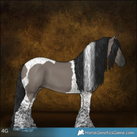 Horse Color:Gray Grullo Tobiano 