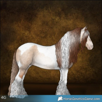 Horse Color:Gray Gold Champagne Roan Dun Tobiano 