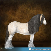 Horse Color:Gray White Spotted Buckskin Roan Dun 
