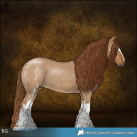 Horse Color:Gray White Spotted Red Dun Roan 