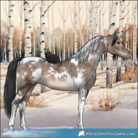 Horse Color:White Spotted Brown Ice Dun Tobiano