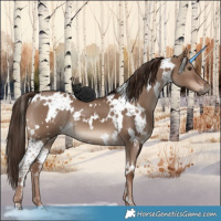 Horse Color:White Spotted Liver Red Dun