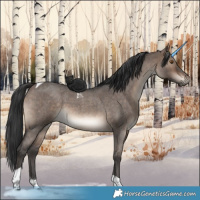Horse Color:Brown Roan Dun Tobiano