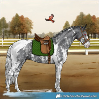 Horse Color:Silver Black Chinchilla Sabino Tobiano