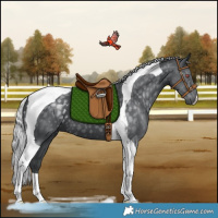 Horse Color:Silver Black Chinchilla Tobiano 