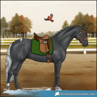 Horse Color:Silver Black Chinchilla Tobiano 