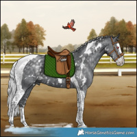 Horse Color:White Spotted Silver Black Chinchilla Ice Splash Tobiano Rabicano 