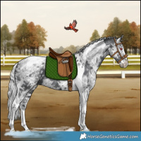 Horse Color:White Spotted Silver Black Chinchilla Ice Tobiano Rabicano