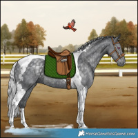 Horse Color:Silver Black Chinchilla Ice Tobiano Rabicano 