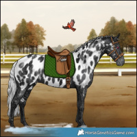 Horse Color:Silver Black Chinchilla Ice Near Leopard Rabicano 