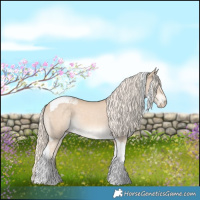 Horse Color:Cremello Tobiano