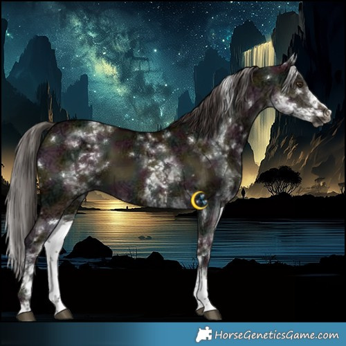 Horse Color:Gray White Spotted Midnight Liver Red Dun Ice