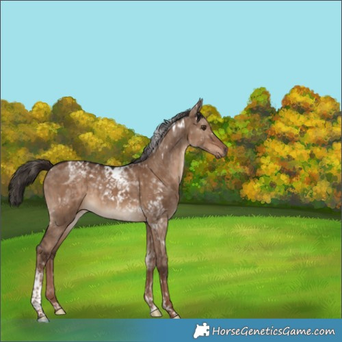 Horse Color:White Spotted Liver Red Dun Tobiano Brindle 