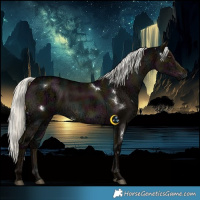 Horse Color:White Spotted Midnight Liver Red Dun Ice Mushroom Rabicano 
