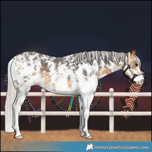 Horse Color:Silver Buckskin Sabino 
