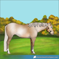 Horse Color:Gray Silver Smoky Black Pearl 