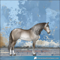 Horse Color:Gray Buckskin Pearl Tobiano