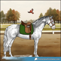 Horse Color:Silver Black Chinchilla Splash Tobiano Rabicano