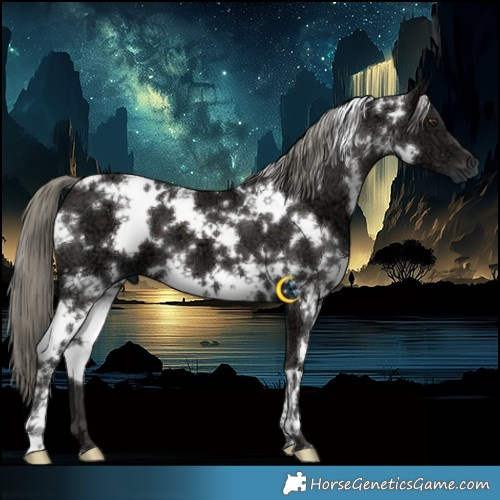 Horse Color:White Spotted Liver Chestnut Ice Mushroom 