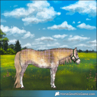 Horse Color:Plaid Liver Red Onyx Sabino