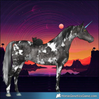 Horse Color:Platinum White Spotted Brown Ice Dun 