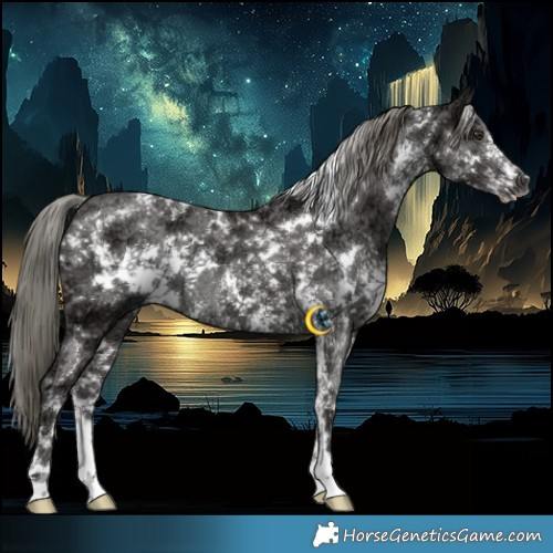 Horse Color:White Spotted Liver Chestnut Ice Mushroom Sabino Rabicano