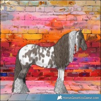 Horse Color:Smoky Grullo Tobiano Near Leopard 
