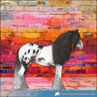 Horse Color:Smoky Black Tobiano Frame Appaloosa 