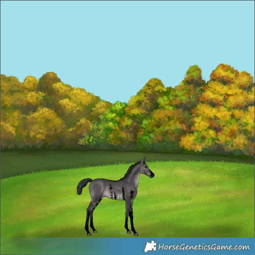 Horse Color:Void Platinum Brown Dun Sabino 