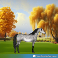 Horse Color:Gray Void Platinum Buckskin Dun Tobiano 