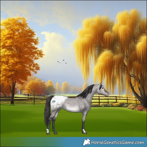 Horse Color:Platinum Bay Dun Snowflake Varnish