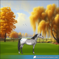 Horse Color:Platinum Bay Dun Snowflake Varnish