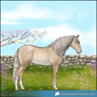 Horse Color:Chocolate Palomino Pearl Dun Brindle 