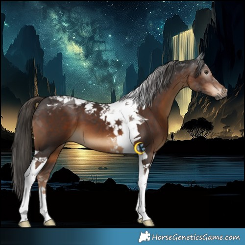 Horse Color:Gray Liver Chestnut Tobiano 