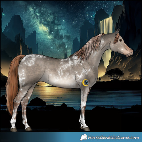 Horse Color:Liver Red Dun Tobiano Rabicano 