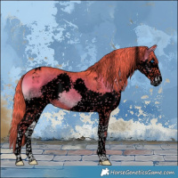 Horse Color:Void Watercolor Liver Red Onyx Splash Tobiano 