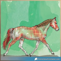 Horse Color:Watercolor Plaid  White Spotted Liver Red Onyx 