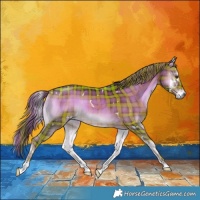 Horse Color:Plaid White Spotted Liver Red Onyx