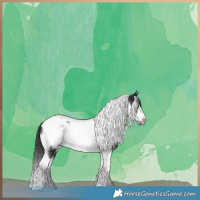 Horse Color:Smoky Black Tobiano Frame