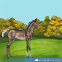 Horse Color:Silver Brown Dun Tobiano Brindle