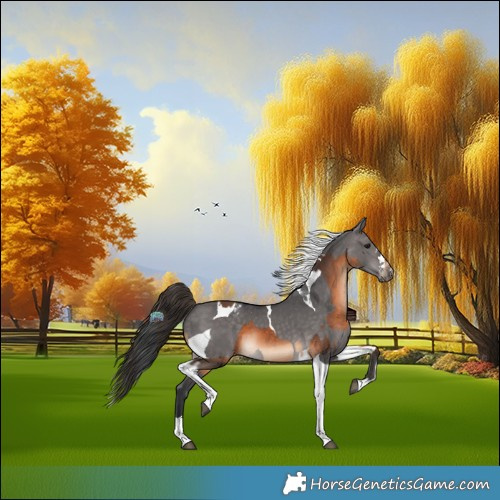 Horse Color:Bay Tobiano  and Platinum Brown Dun Tobiano Appaloosa 
