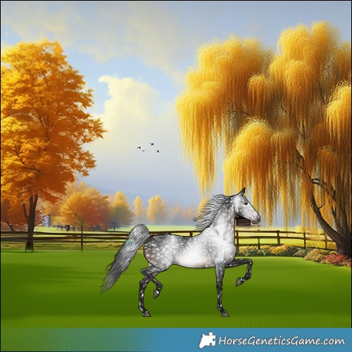 Horse Color:Gray Brown Snowflake Varnish Rabicano 