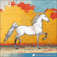 Horse Color:Gray Bay Dun Snowflake VarnishRabicano 