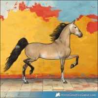 Horse Color:Gray Buckskin Dun Sabino 
