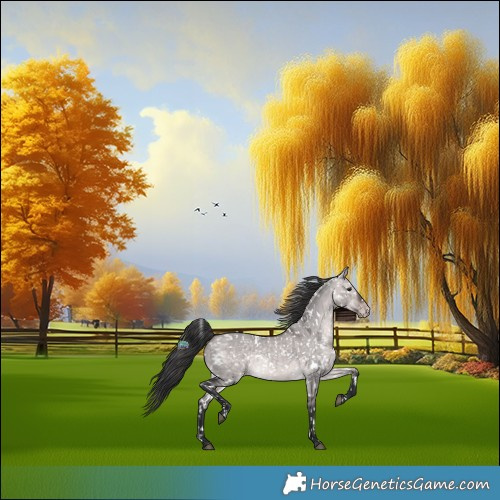Horse Color:Platinum White Spotted Bay Dun Snowflake VarnishRabicano