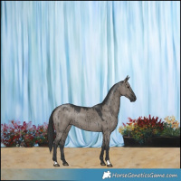 Horse Color:Grullo Brindle 