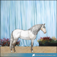 Horse Color:Gray Silver Smoky Grullo Roan Pearl Near Fewspot 