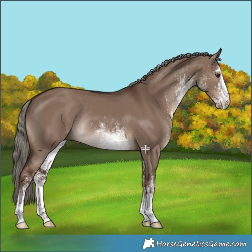 Horse Color:White Spotted Liver Red Dun Mushroom Rabicano 