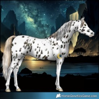 Horse Color:Midnight Chocolate Palomino Ice Dun Mushroom Splash Tobiano Near Leopard Brindle 